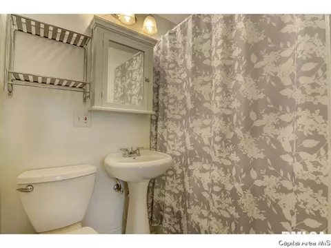 331 S Douglas Ave, Springfield, IL 62704 photo 30