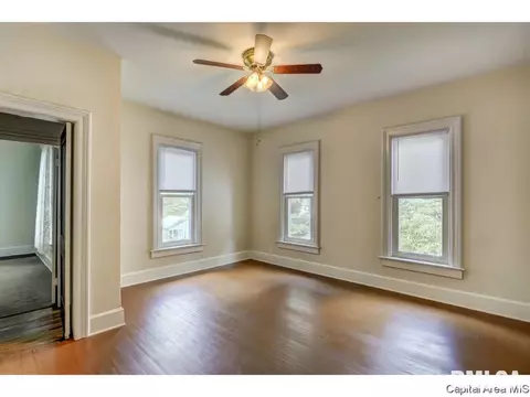 331 S Douglas Ave, Springfield, IL 62704 photo 18