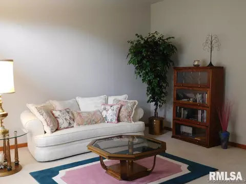 2216 Silver Ml, Springfield, IL 62704 photo 13
