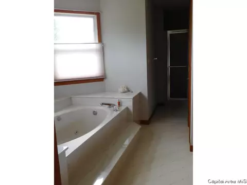 2216 Silver Ml, Springfield, IL 62704 photo 18