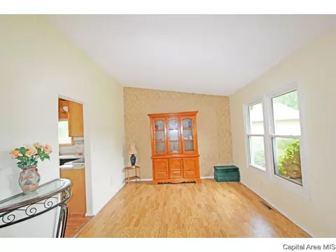 147 Springbrook Dr, Springfield, IL 62702 photo 10