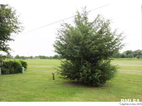 147 Springbrook Dr, Springfield, IL 62702 photo 23
