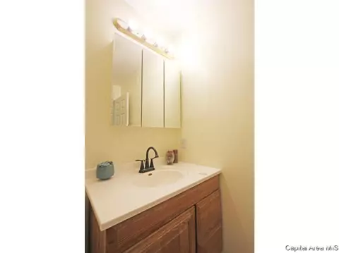 147 Springbrook Dr, Springfield, IL 62702 photo 17