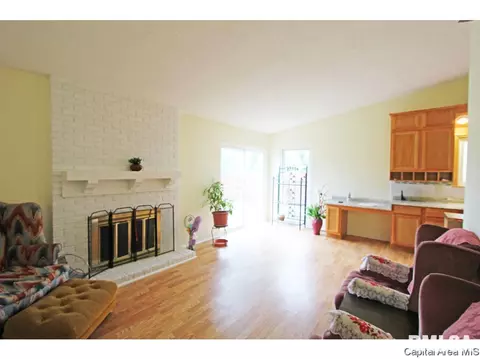 147 Springbrook Dr, Springfield, IL 62702 photo 6