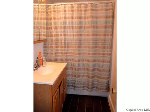 208 N Park, Springfield, IL 62702 photo 13