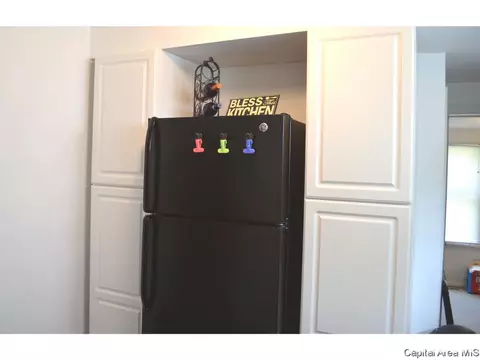 208 N Park, Springfield, IL 62702 photo 12