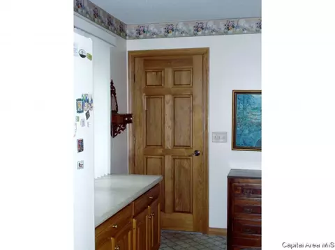 309 S Center St, Oneida, IL 61467 photo 13