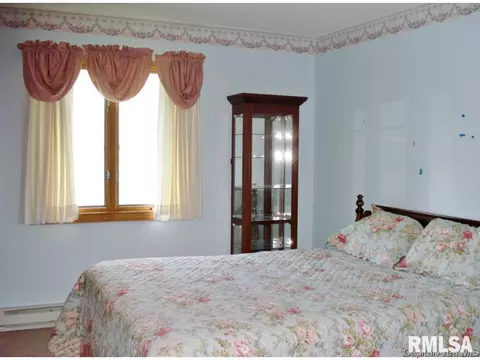 309 S Center St, Oneida, IL 61467 photo 22