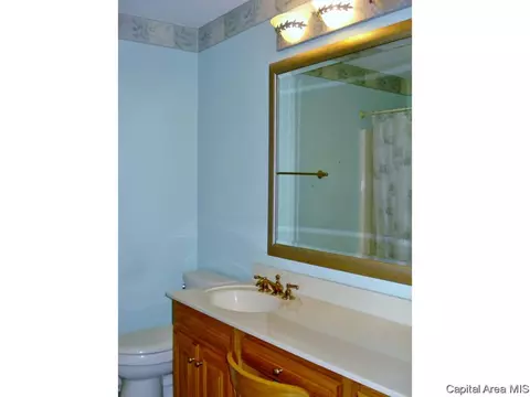309 S Center St, Oneida, IL 61467 photo 20
