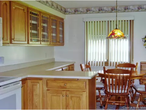 309 S Center St, Oneida, IL 61467 photo 9