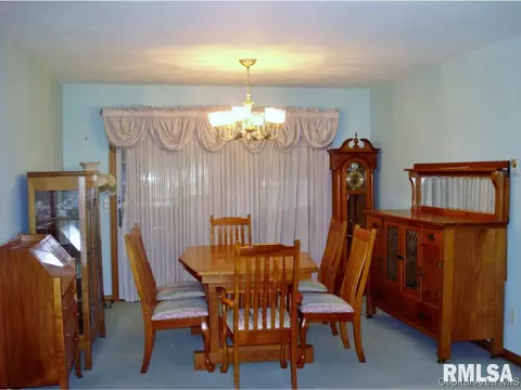 309 S Center St, Oneida, IL 61467 photo 7