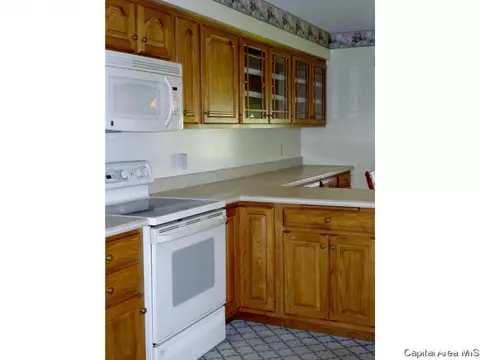 309 S Center St, Oneida, IL 61467 photo 8