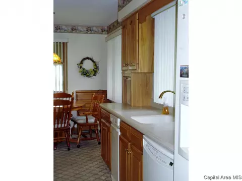 309 S Center St, Oneida, IL 61467 photo 10