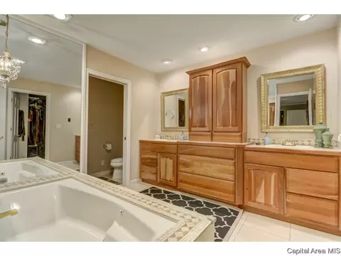 3133 Lochridge Ln, Springfield, IL 62704 photo 19