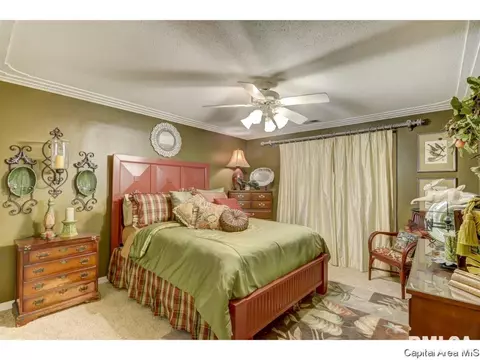 3133 Lochridge Ln, Springfield, IL 62704 photo 25