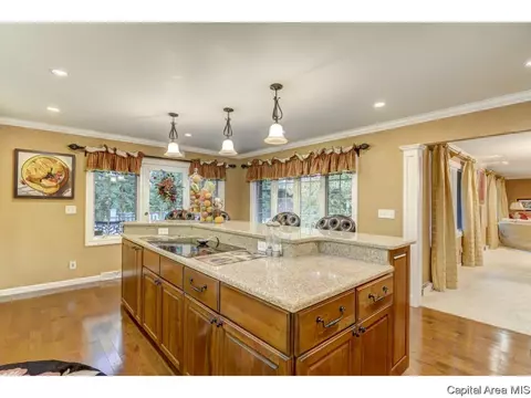 3133 Lochridge Ln, Springfield, IL 62704 photo 10