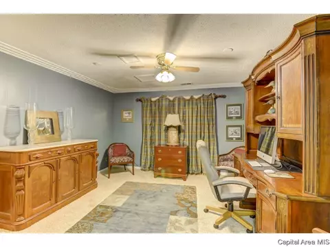 3133 Lochridge Ln, Springfield, IL 62704 photo 28