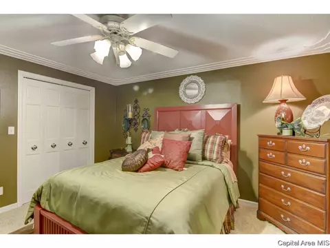 3133 Lochridge Ln, Springfield, IL 62704 photo 26