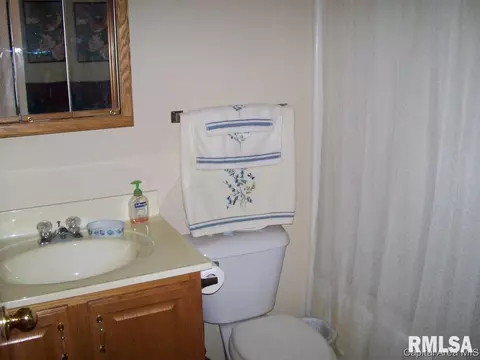 2601 Steiler Pl, Springfield, IL 62703 photo 12