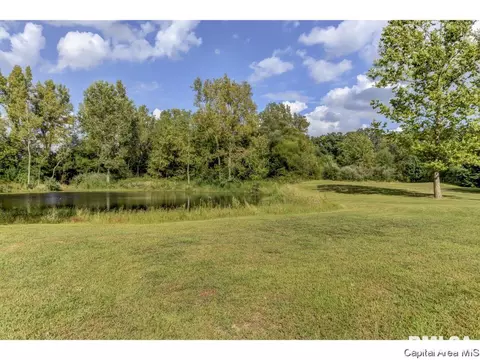 1155 Sebring Rd, Springfield, IL 62707 photo 5