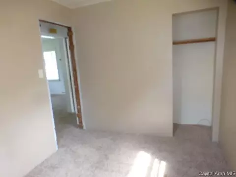 1033 N Ohio Street St, Springfield, IL 62702 photo 9