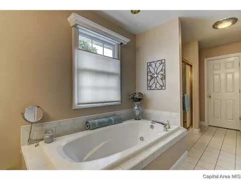 2304 Peppermill Pointe Ct, Springfield, IL 62712 photo 20