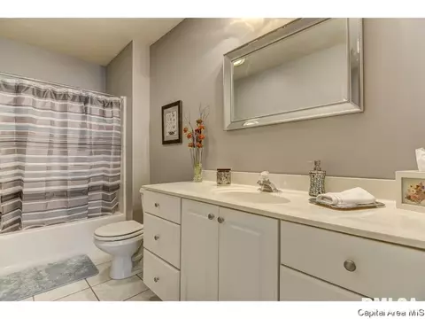 2304 Peppermill Pointe Ct, Springfield, IL 62712 photo 27