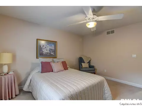 2304 Peppermill Pointe Ct, Springfield, IL 62712 photo 21