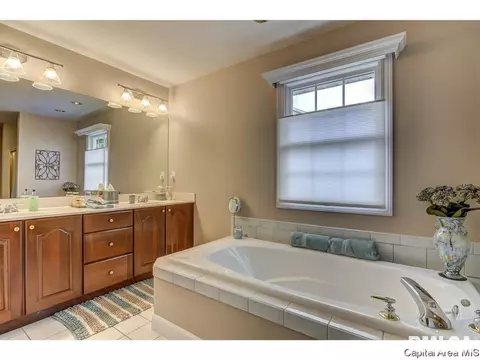 2304 Peppermill Pointe Ct, Springfield, IL 62712 photo 19
