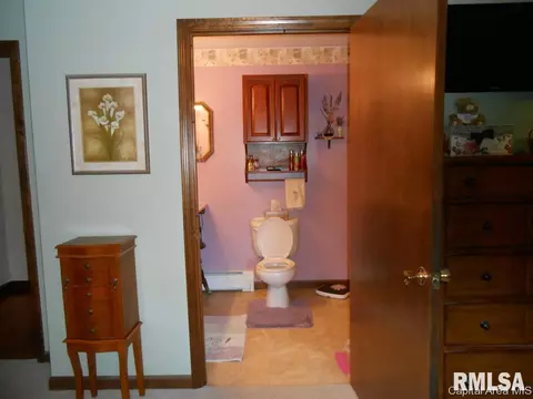 3624 River Rd, Riverton, IL 62561 photo 18