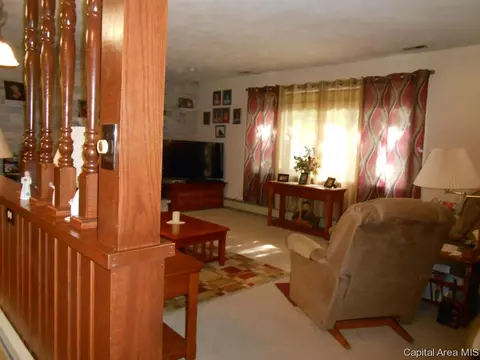 3624 River Rd, Riverton, IL 62561 photo 11
