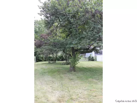 1126 N Patton St, Springfield, IL 62702 photo 3