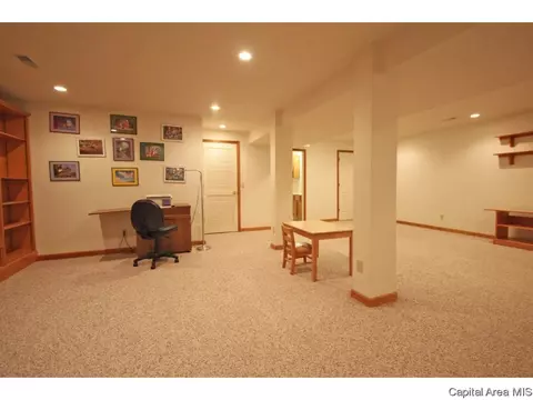 1404 Azalea, Springfield, IL 62712 photo 29