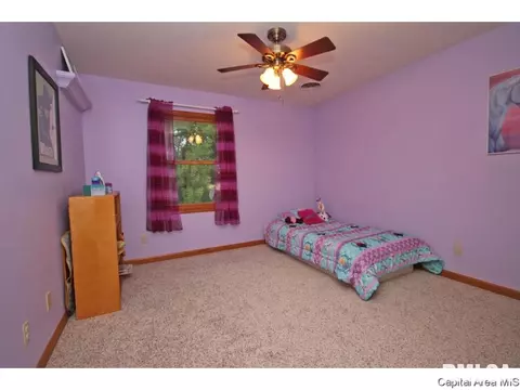 1404 Azalea, Springfield, IL 62712 photo 24
