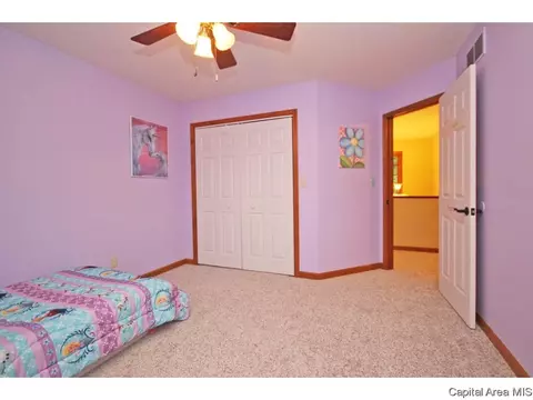 1404 Azalea, Springfield, IL 62712 photo 23