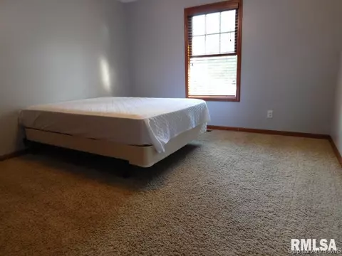 1908 Persimmon, Chatham, IL 62629 photo 16