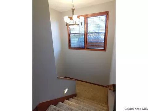 1908 Persimmon, Chatham, IL 62629 photo 19