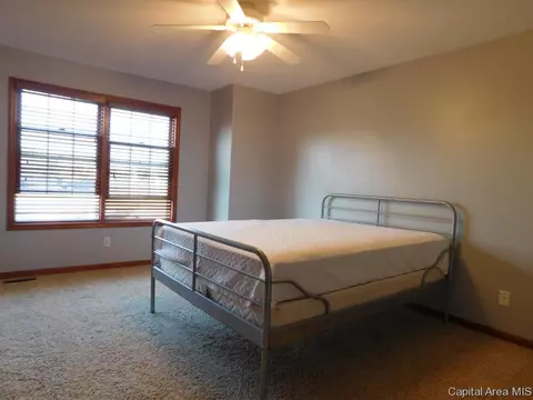 1908 Persimmon, Chatham, IL 62629 photo 18