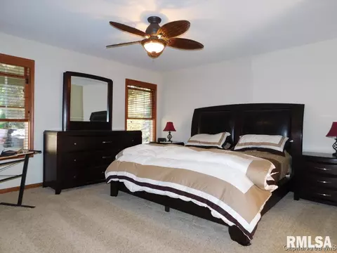 1908 Persimmon, Chatham, IL 62629 photo 13