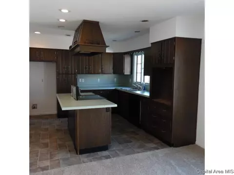 216 E Cedar St, Springfield, IL 62704 photo 24