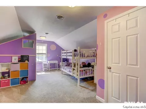 2816 Tanner Rd, Springfield, IL 62702 photo 24