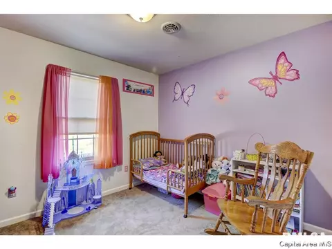 2816 Tanner Rd, Springfield, IL 62702 photo 22