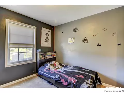 2816 Tanner Rd, Springfield, IL 62702 photo 19
