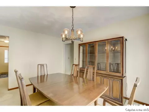 60 Pine Cv, Springfield, IL 62712 photo 13