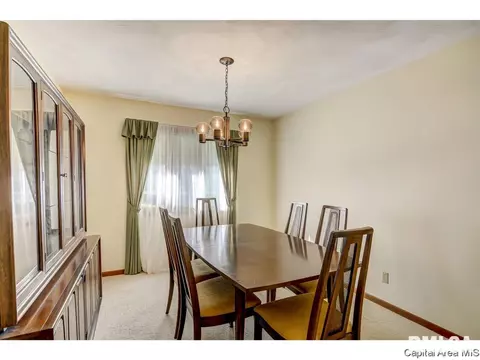 60 Pine Cv, Springfield, IL 62712 photo 14