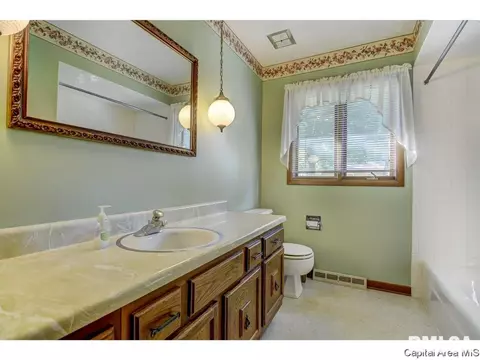 60 Pine Cv, Springfield, IL 62712 photo 30