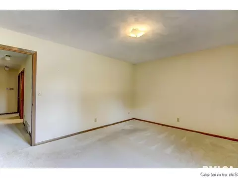 60 Pine Cv, Springfield, IL 62712 photo 21
