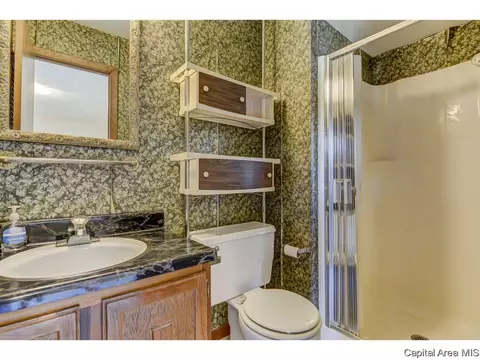 60 Pine Cv, Springfield, IL 62712 photo 22