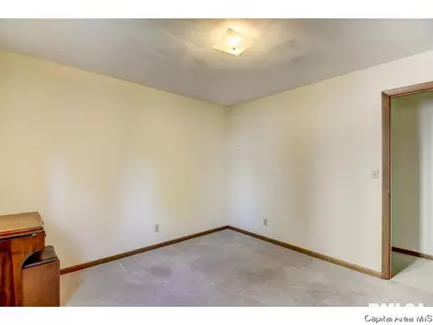 60 Pine Cv, Springfield, IL 62712 photo 27