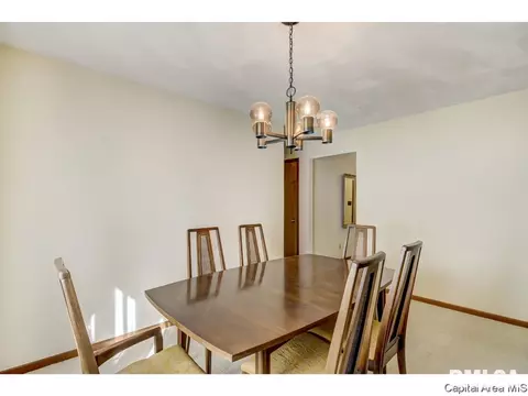 60 Pine Cv, Springfield, IL 62712 photo 12